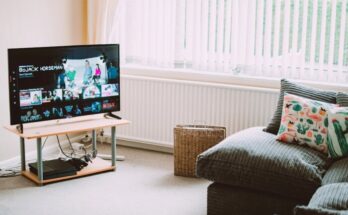 peliculas y programas de tv de maria pedraza
